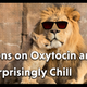 Lions on Oxytocin are Surprisingly Chill
